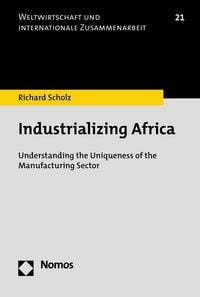 Produktbild: Industrializing Africa