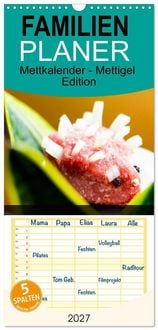 Produktbild: Familienplaner 2027 - Mettkalender - Mettigel Edition mit 5 Spalten (Wandkalender, 21 x 45 cm) CALVENDO