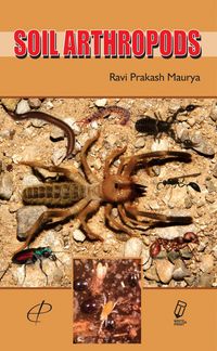 Produktbild: Soil Arthropods