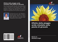 Produktbild: Effetto della pioggia acida simulata sulla pianta di girasole