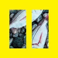 Produktbild: II (LP)