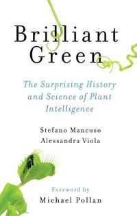 Produktbild: Viola, A: Brilliant Green