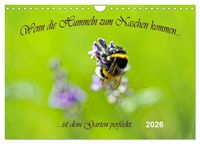 Produktbild: Wenn die Hummeln zum naschen kommen, ist dein Garten perfekt (Wandkalender 2026 DIN A4 quer), CALVENDO Monatskalender