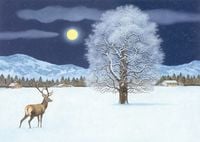 Produktbild: Zauberhafte Winternacht Adventskalender