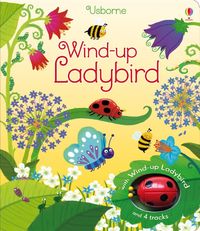 Produktbild: Wind-up Ladybird