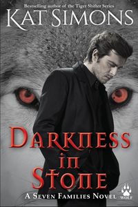 Produktbild: Darkness in Stone