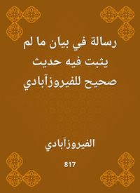 Produktbild: A message in a statement that no authentic hadith was proven to turquoise