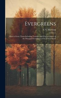 Produktbild: Evergreens