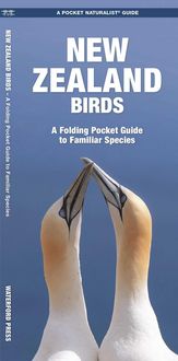 Produktbild: New Zealand Birds