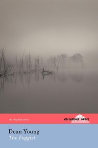Produktbild: The Foggist