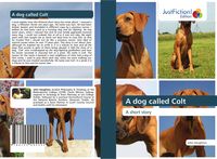 Produktbild: A dog called Colt