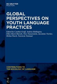 Produktbild: Global Perspectives on Youth Language Practices