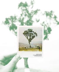 Produktbild: El Palo del Ahorcado.