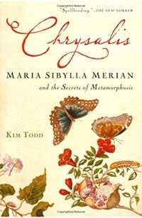 Produktbild: Chrysalis