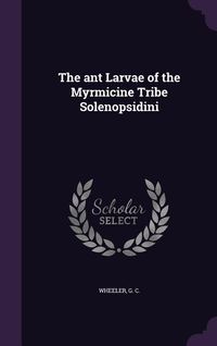 Produktbild: The ant Larvae of the Myrmicine Tribe Solenopsidini