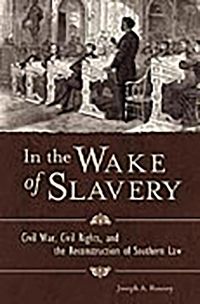 Produktbild: In the Wake of Slavery