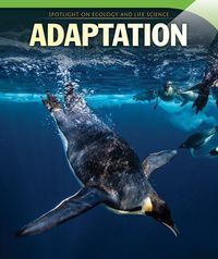 Produktbild: Adaptation