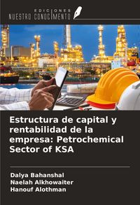 Produktbild: Estructura de capital y rentabilidad de la empresa: Petrochemical Sector of KSA