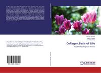 Produktbild: Collagen:Basis of Life