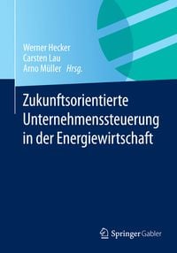 Produktbild: Zukunftsorientierte Unternehmenssteuerung in der Energiewirtschaft