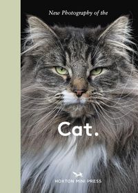 Produktbild: New Photography of the Cat.