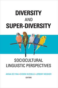 Produktbild: Diversity and Super-Diversity