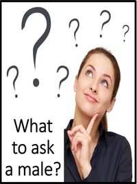 Produktbild: What to ask a male?