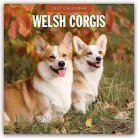 Produktbild: Welsh Corgis &ndash; Welsh Corgi 2027 &ndash; 16-Monatskalender