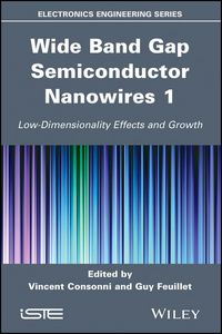 Produktbild: Wide Band Gap Semiconductor Nanowires 1