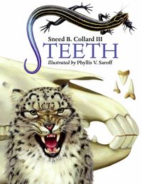 Produktbild: TEETH
