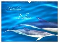 Produktbild: Nat&uuml;rlich Delfine (Wandkalender 2026 DIN A3 quer), CALVENDO Monatskalender