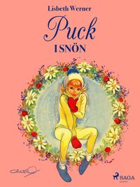 Produktbild: Puck i sn&ouml;n