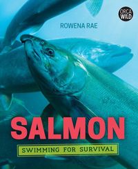 Produktbild: Salmon