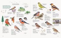 Wawra's Naturbuch – Unserer Natur auf der Spur, Bd. 1: Säugetiere, Vögel, Reptilien, Amphibien