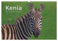 Bild vom Artikel Kenia - Die Tiere der Savanne (Wandkalender 2024 DIN A2 quer), CALVENDO Monatskalender vom Autor Andreas Mayer