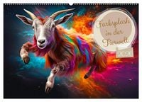 Produktbild: Farbsplash in der Tierwelt (Wandkalender 2026 DIN A2 quer), CALVENDO Monatskalender