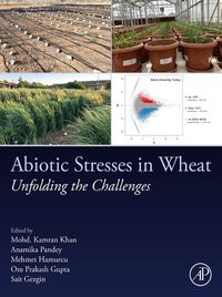 Produktbild: Abiotic Stresses in Wheat
