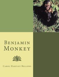 Produktbild: Benjamin Monkey