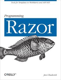 Produktbild: Programming Razor