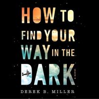 Bild vom Artikel How to Find Your Way in the Dark Lib/E vom Autor Derek B. Miller