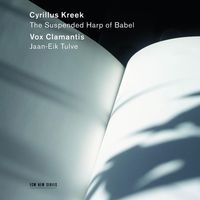 Bild vom Artikel The Suspended Harp Of Babel vom Autor Vox Clamantis