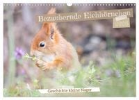 Produktbild: Bezaubernde Eichh&ouml;rnchen (Wandkalender 2026 DIN A3 quer), CALVENDO Monatskalender