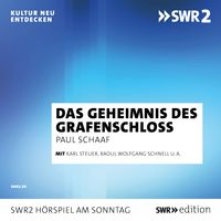 Produktbild: Das Geheimnis im Grafenschloss