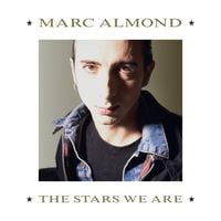 Produktbild: The Stars We Are (Deluxe 2CD+DVD Edition)