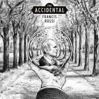 Produktbild: The Accidental (Ltd. CD Digipak)