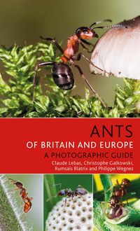 Bild vom Artikel Ants of Britain and Europe vom Autor Claude Lebas