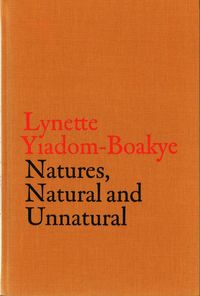 Produktbild: V-A-C Collection: Lynette Yiadom-Boakye