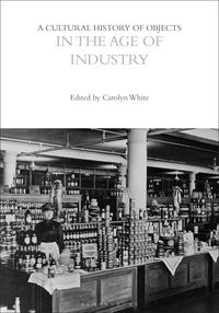 Produktbild: A Cultural History of Objects in the Age of Industry