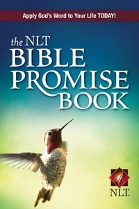 Produktbild: The NLT Bible Promise Book