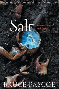 Produktbild: Salt